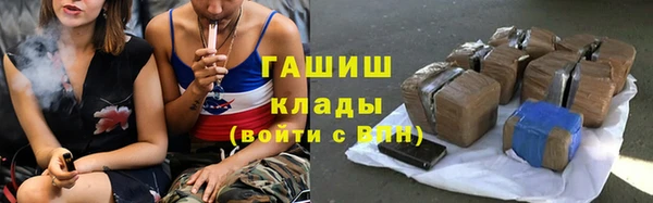 хмурый Аркадак
