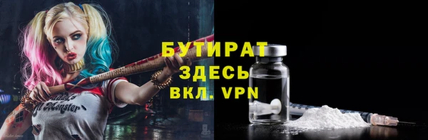 хмурый Аркадак