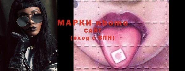 хмурый Аркадак