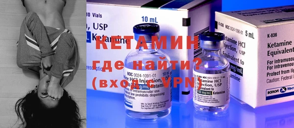 хмурый Аркадак