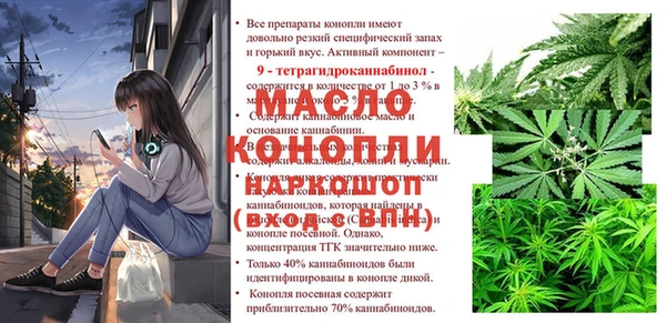 хмурый Аркадак