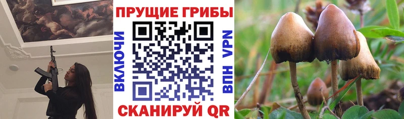Псилоцибиновые грибы мухоморы  blacksprut сайт  Светлый 